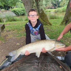 Grass Carp