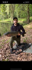 Grass Carp