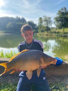 Mirror Carp