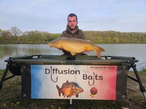 Mirror Carp