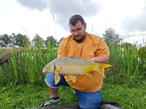 Mirror Carp