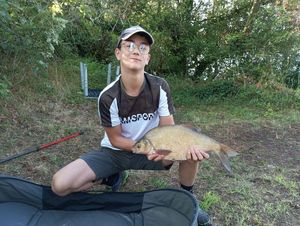 Common Bream