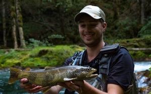 Brown Trout