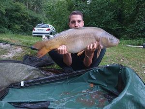 Mirror Carp