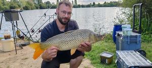 Common Carp