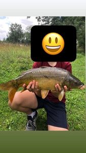 Mirror Carp