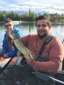 Northern Pike