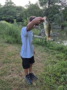 Smallmouth Bass