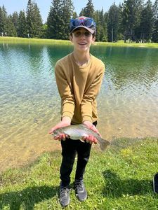 Rainbow Trout