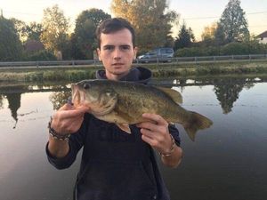 Largemouth Bass