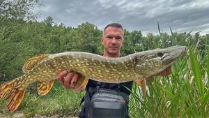 Northern Pike