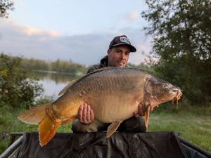 Common Carp