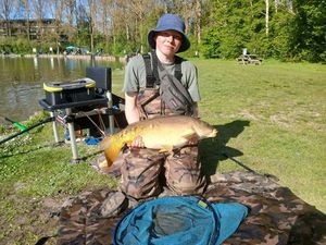 Common Carp
