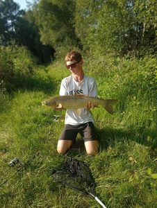 Silver Carp