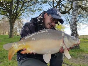 Mirror Carp