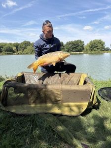 Common Carp