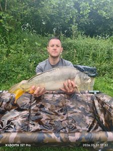 Mirror Carp