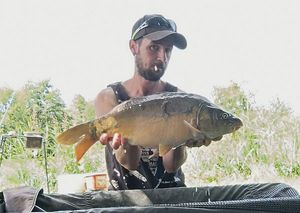 Mirror Carp