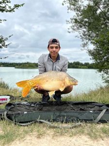 Mirror Carp