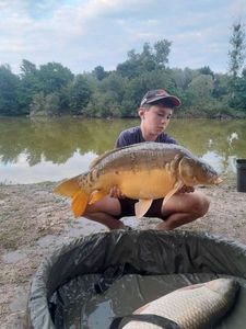 Mirror Carp