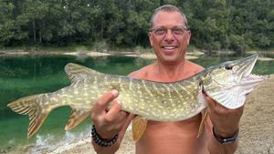 Northern Pike