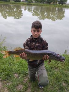 Northern Pike