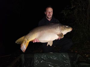 Mirror Carp