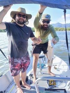South American Silver Croaker