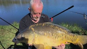 Mirror Carp