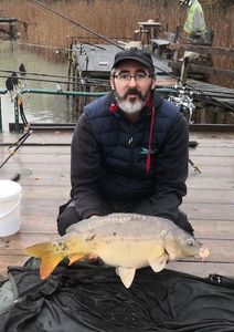 Mirror Carp