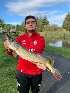 Northern Pike