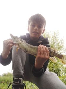 Northern Pike