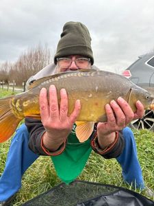 Mirror Carp