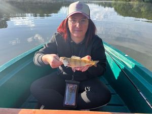 European Perch