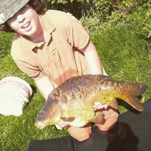 Mirror Carp