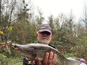 Northern Pike