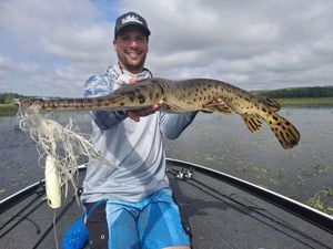 Longnose Gar