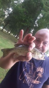 Largemouth Bass