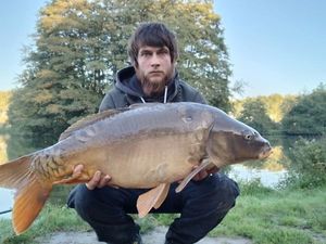 Mirror Carp