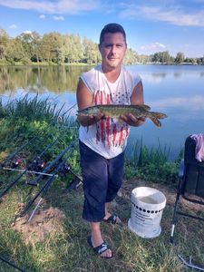 Northern Pike