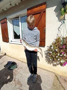 Northern Pike