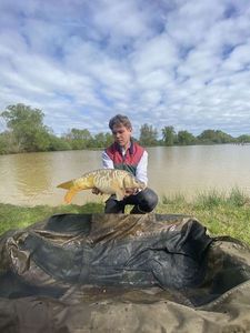Mirror Carp