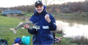 Zander