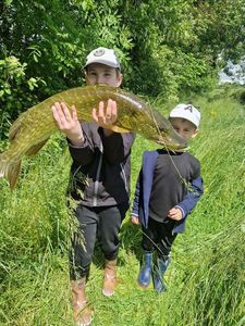 Northern Pike