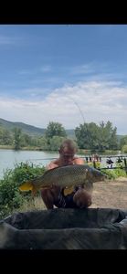 Common Carp