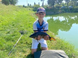 Mirror Carp