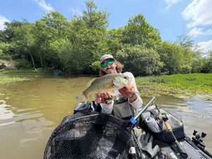 Largemouth Bass