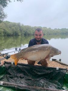 Mirror Carp