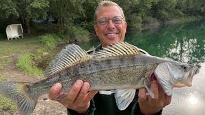 Zander