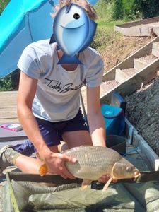 Common Carp